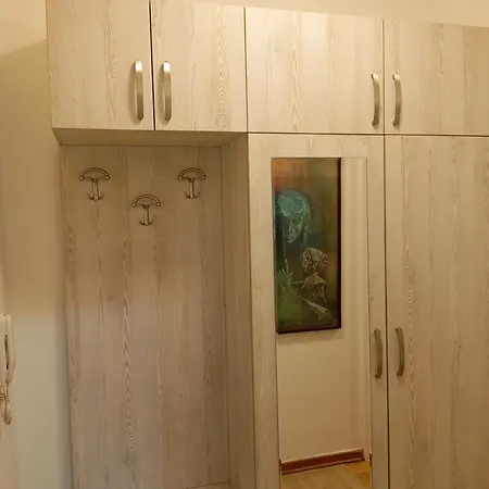 Vuk Apartment *