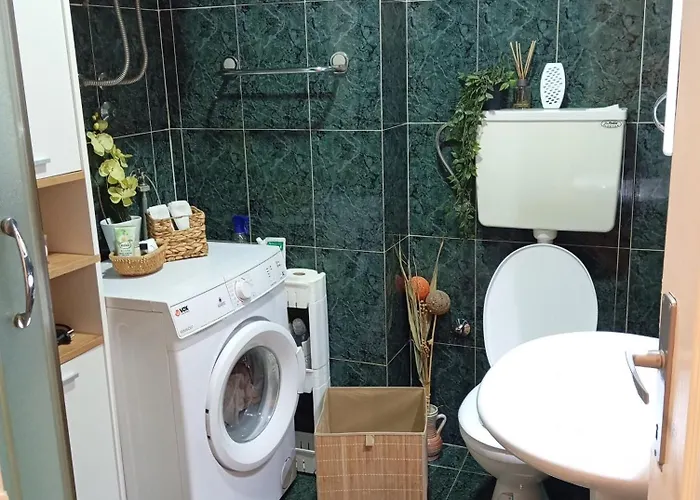 Vuk Apartament Obrenovac (Belgrade)